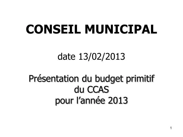 conseil municipal date 13 02 2013 pr sentation du budget primitif du ccas pour l ann e 2013