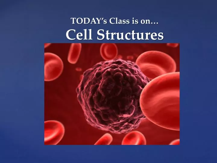 today s class is on cell structures