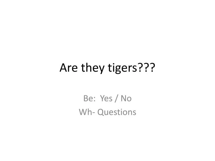 are they tigers