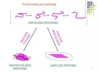 UNFOLDED PROTEINS