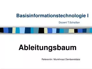 basisinformationstechnologie i dozent t scha an