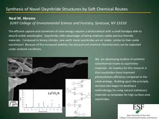 Synthesis of Novel Oxynitride Structures by Soft Chemical Routes