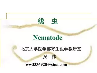 nematode