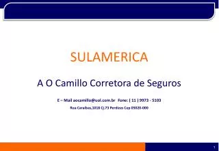 sulamerica