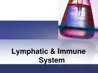 lymphatic immune system