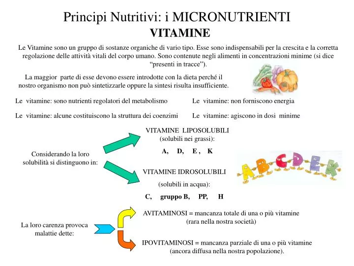 principi nutritivi i micronutrienti