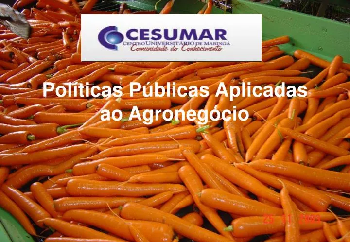 pol ticas p blicas aplicadas ao agroneg cio