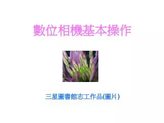 slide1