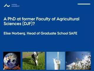 PhD EDUCATION AT DJF