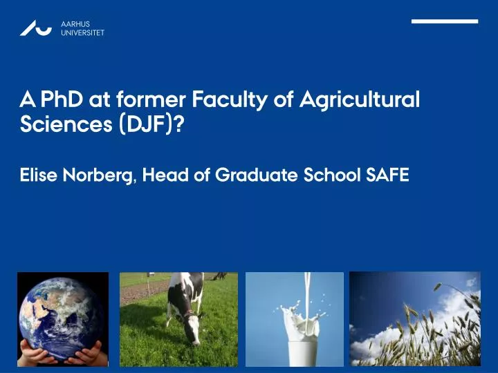 a phd at former faculty of agricultural sciences djf elise norberg head of graduate school safe