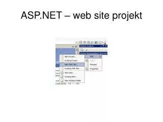 asp net web site projekt