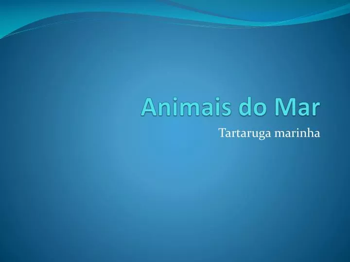 animais do mar