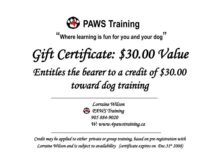 paws training where learning is fun for you and your dog