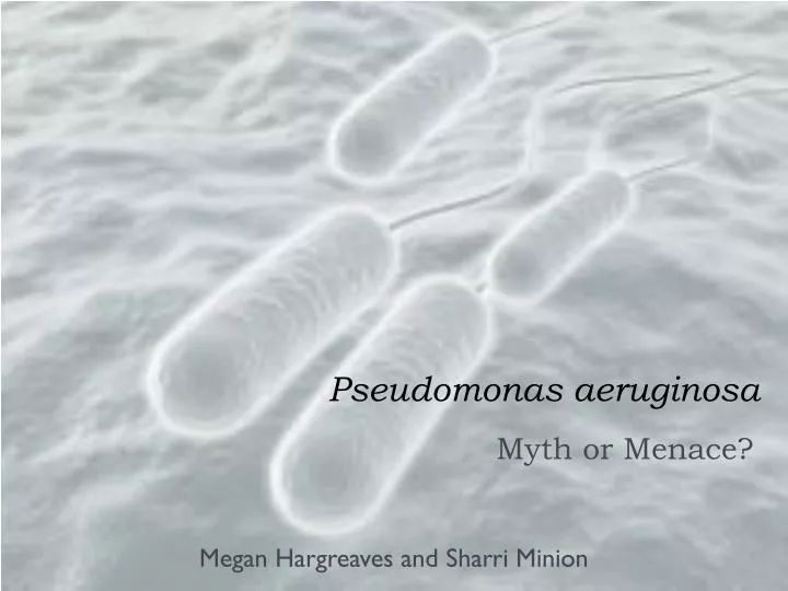 pseudomonas aeruginosa