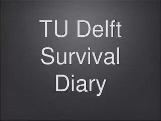 TU Delft Survival Diary