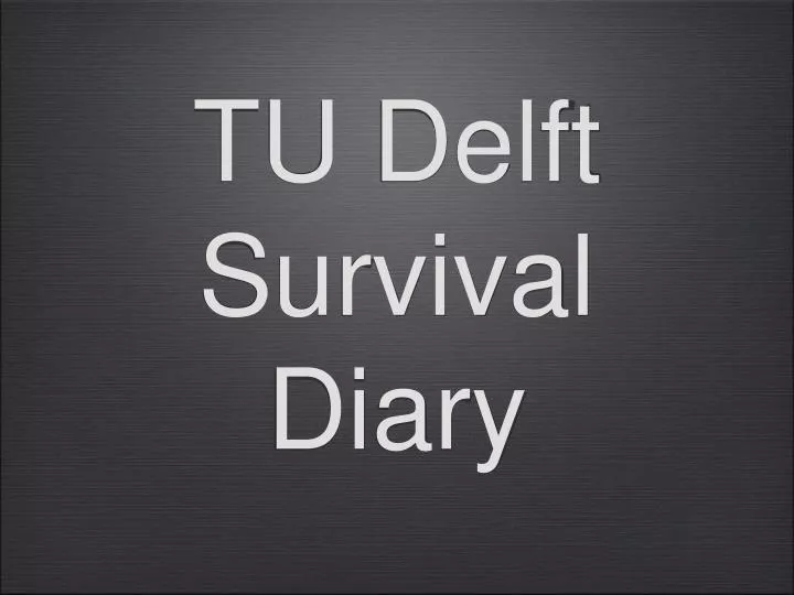 tu delft survival diary