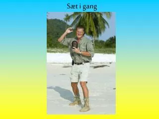 s t i gang
