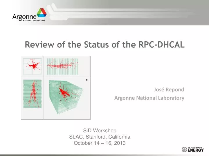 review of the status of the rpc dhcal