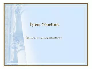 lem y netimi