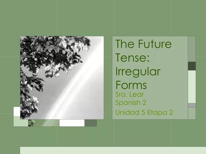 the future tense irregular forms