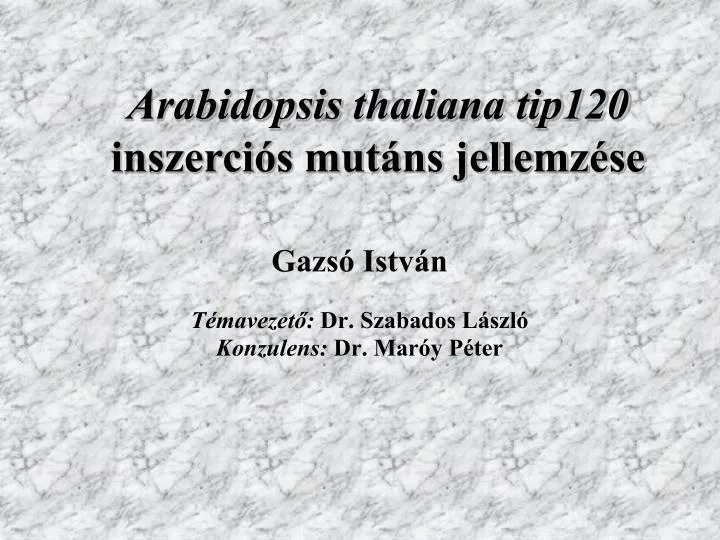 arabidopsis thaliana tip120 inszerci s mut ns jellemz se