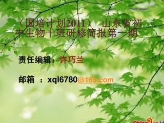 xql6780 @163 com