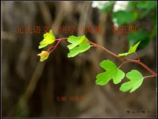 slide1