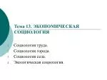 Тема 13. ЭКОНОМИЧЕСКАЯ СОЦИОЛОГИЯ - slide 1