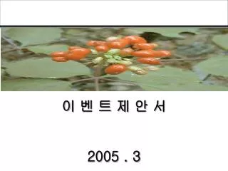 2005 3