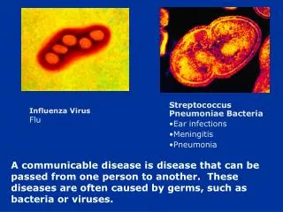 Influenza Virus Flu