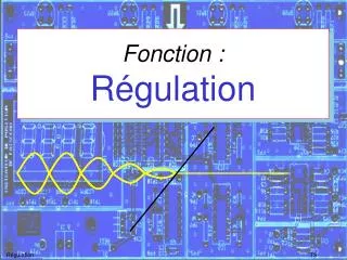 fonction r gulation