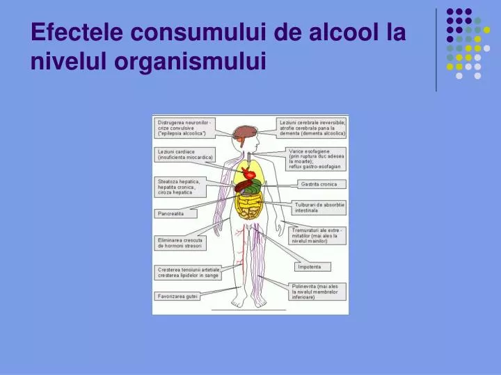 efectele consumului de alcool la nivelul organismului
