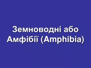 amphibia