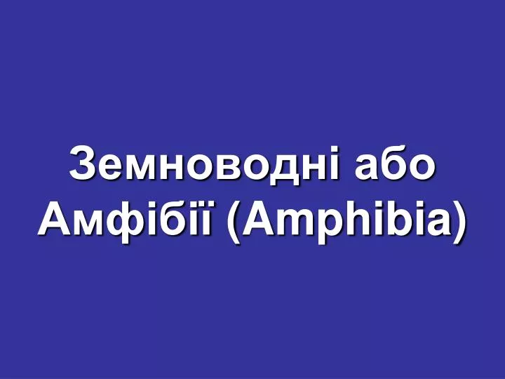 amphibia