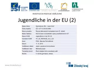 jugendliche in der eu 2