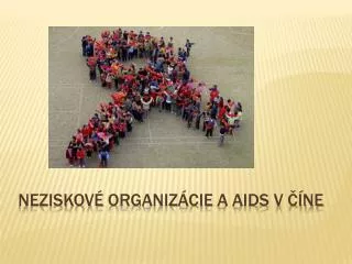 neziskov organiz cie a aids v ne