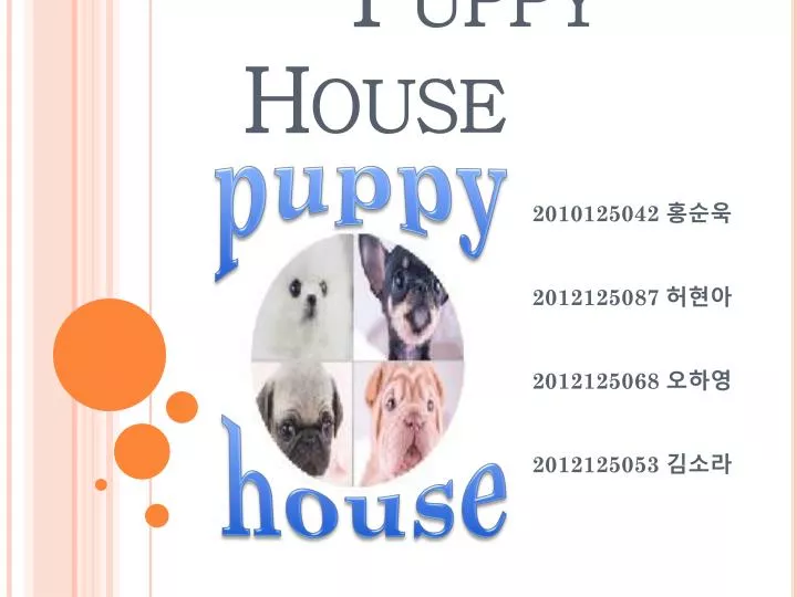 puppy house