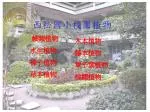 西松國小校園植物 - slide 1