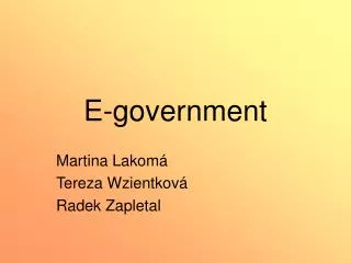 e government