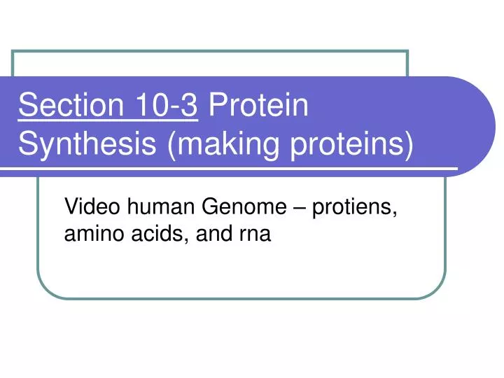 section 10 3 protein synthesis making proteins