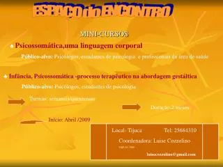 mini cursos