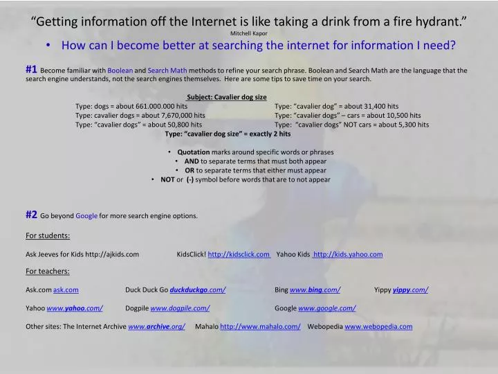 getting information off the internet is like taking a drink from a fire hydrant mitchell kapor