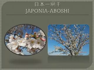 japonia aboshi