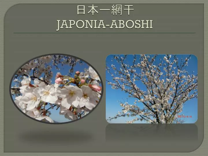 japonia aboshi