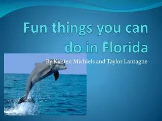 Fun things you can do in Florida