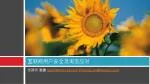 互联网用户安全及淘宝应 对 - slide 1