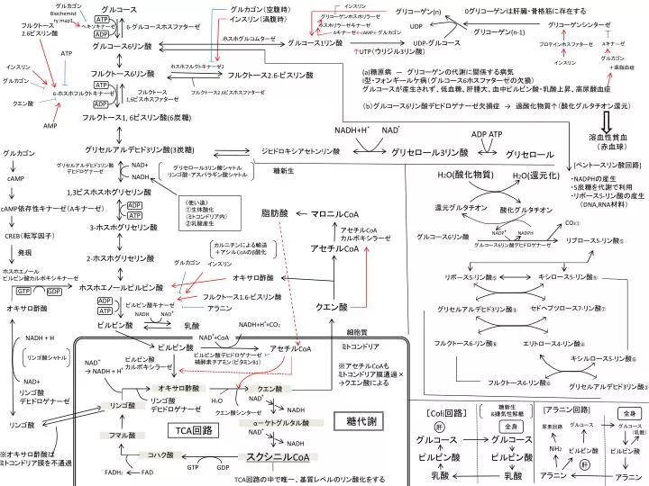 biochemistry map1