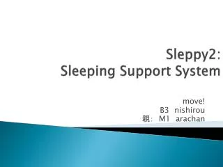 sleppy2 sleeping support system