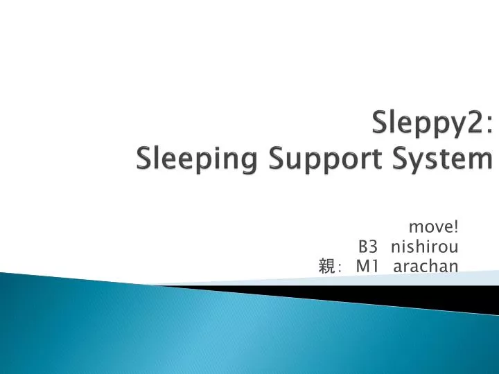 sleppy2 sleeping support system