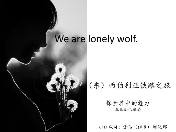 we are lonely wolf